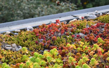 the cost of Bridge Of Feugh green roof installation
