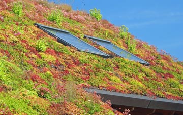 Bridge Of Feugh living roof systems