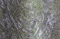 Bridge Of Feugh fibreglass roof work